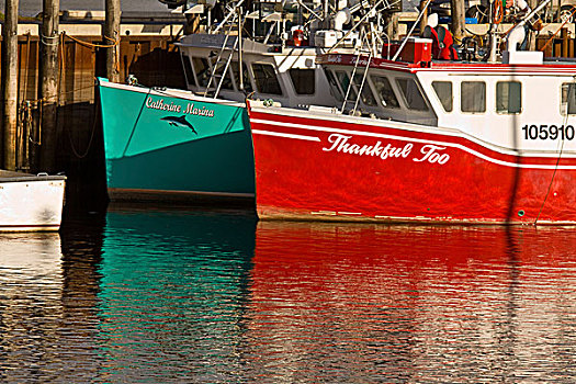 彩色,龙虾艇,乡村,新布兰斯维克,加拿大