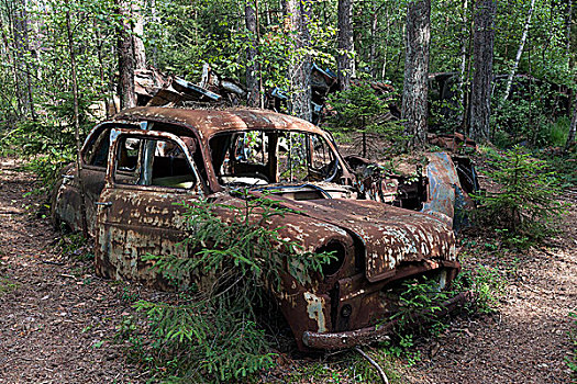汽车,墓地,树林,废弃物,靠近,史马兰,瑞典,欧洲