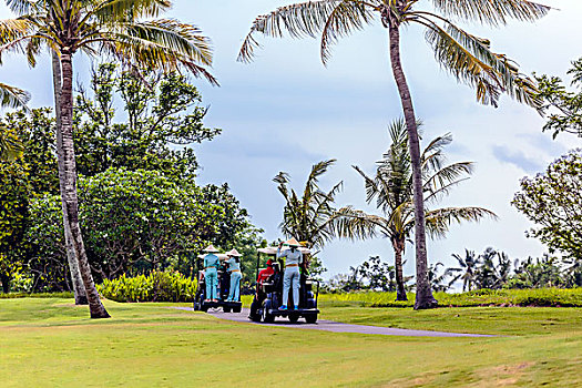 高尔夫球车,高尔夫球场,巴厘岛