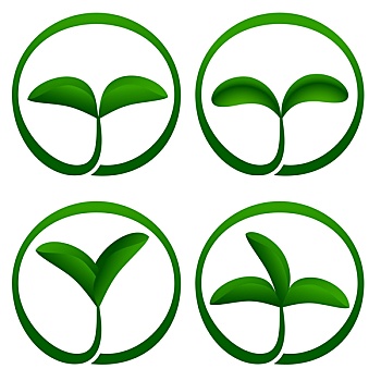 植物,环境,象征