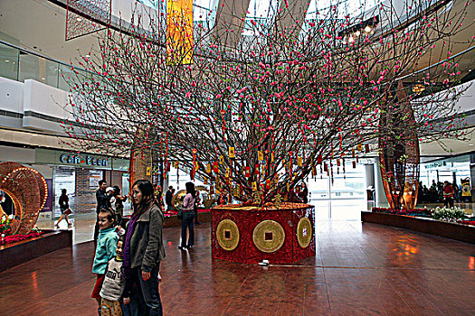 桃树,装饰,购物中心,香港
