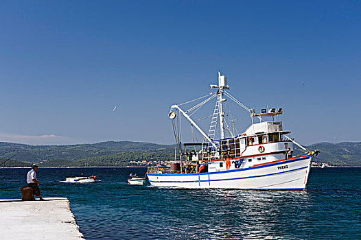 捕鱼,船,进入,港口,半岛,达尔马提亚,克罗地亚,欧洲