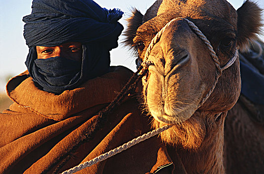 特写,黑色,缠头巾,骆驼