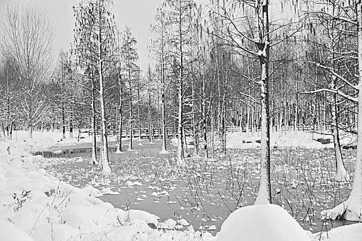 雪景