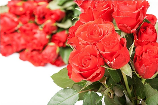 花束,红玫瑰,浪漫,礼物,背景