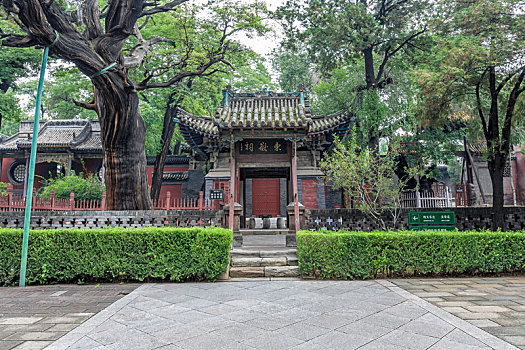 山西省太原市晋祠古树古建,古柏树与东岳祠