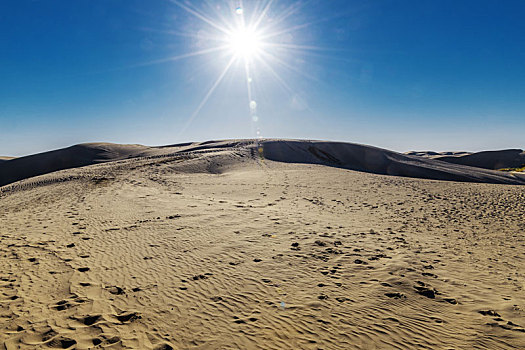 阳光下的沙漠