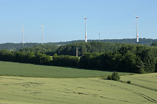 风电场,再生能源
