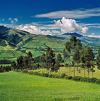 南美,厄瓜多尔,区域,山,云,靠近,绿色,山谷,中部高地