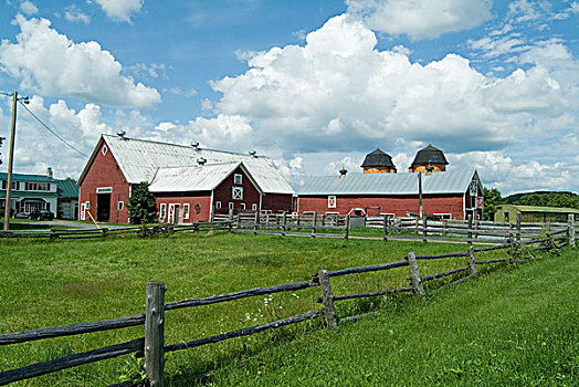 乳牛场,佛蒙特州