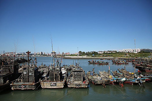 渔码头成了海鲜市场,吃货组团抢购肥美海鲜