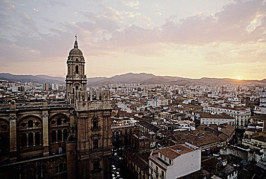 西班牙,马拉加,大教堂,城市