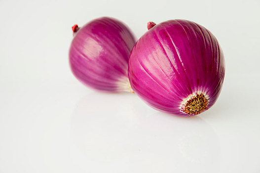 特写紫色的洋葱在白色的背景