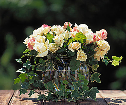 淡色调,玫瑰,常春藤,球根,玻璃花瓶
