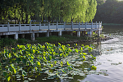 舞钢市森林公园