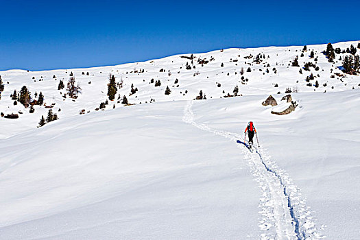 滑雪,远足者,攀登,山,西玛,高处,后面,白云岩,特兰迪诺,意大利,欧洲