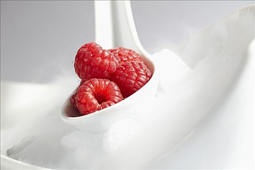 树莓,白色,勺子,干冰