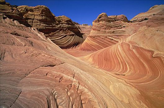 彩色,砂岩,图案,石化,沙丘,脊,腐蚀,靠近,河,科罗拉多高原,犹他