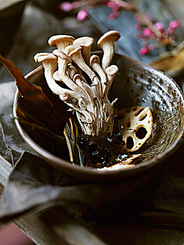 金针菇,蘑菇,荷花,根部,器具