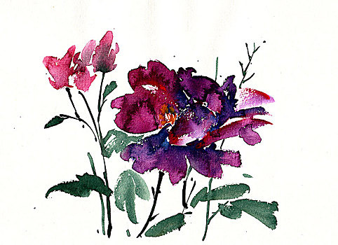 手繪花卉