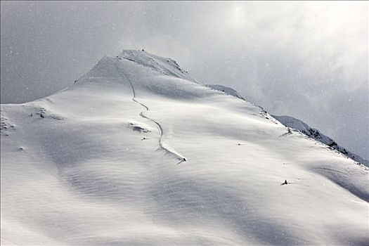 自由式,滑雪者,地形,遮盖,大雪,北方,提洛尔,奥地利,欧洲