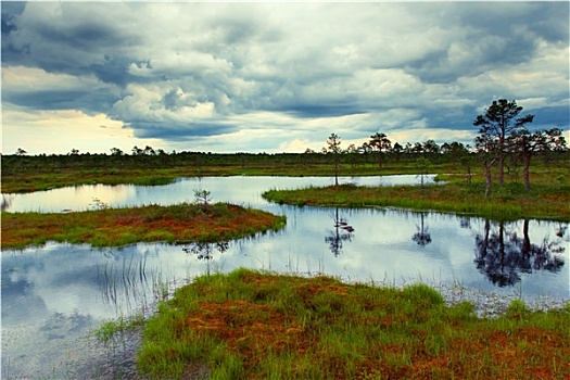 爱沙尼亚,湿地