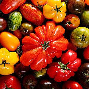 方形,背景,种类,新鲜,成熟,西红柿