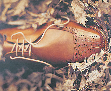 纺织服装业皮鞋