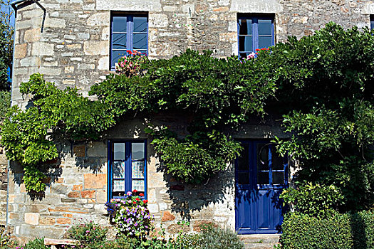 房子,蓝色,入口,窗户,乡村,布列塔尼半岛,法国