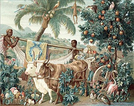财富,西印度群岛,17世纪,艺术家,未知