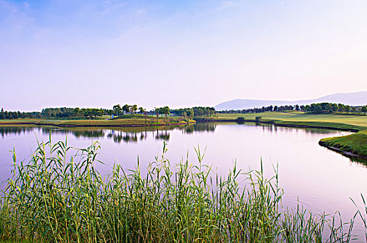 高尔夫球场湖泊景色
