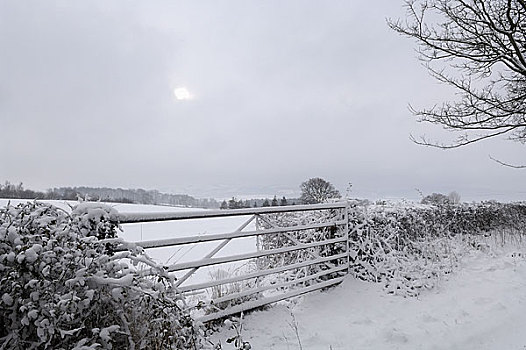 英格兰,萨默塞特,冬季风景,雪,靠近