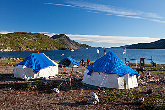 帐篷,公园,加拿大,拉布拉多犬,因纽特人,公司,露营,湾