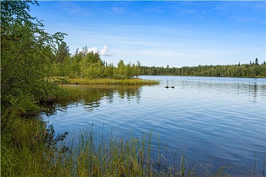 风景,湖,晴天,芬兰