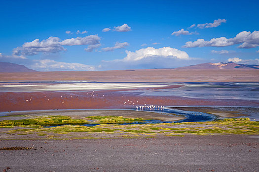 泻湖,高原,玻利维亚