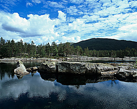 岩石,风景,宽,河,北方,山谷,挪威,斯堪的纳维亚,欧洲