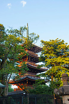 日本东京,上野东照宫的著名地标,宽永寺五重塔