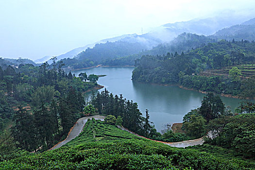 佛山市三水区大南山