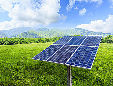 太阳能电池板,光伏,树,森林,绿色能源,背景