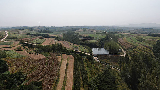 航拍整洁有序的美丽乡村,满眼都是风景