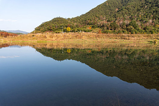 小芝红杉林,小芝红树林