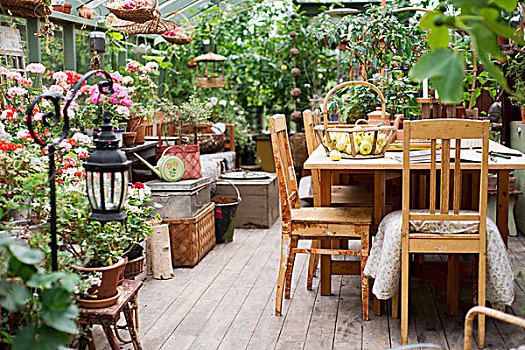 木桌子,椅子,温室,许多,种植器皿,地板,凳子