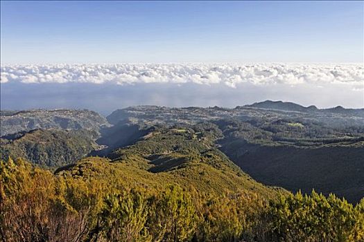 风景,乡村,北海岸,马德拉岛,葡萄牙