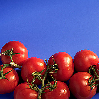 藤,西红柿,蓝色背景