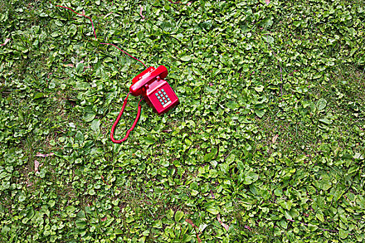 红色,复古,电话,草地