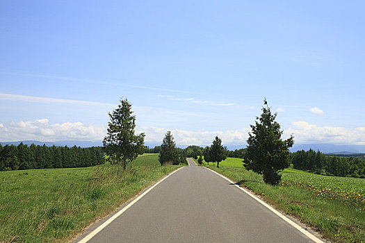 乡村道路