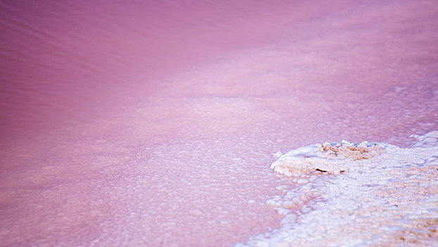 粉色盐湖