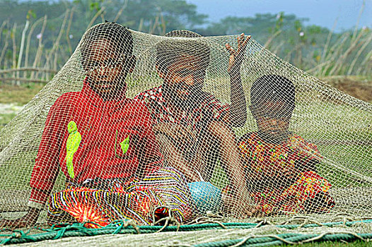 一群孩子,玩,渔网,木豆,孟加拉,一月,2008年