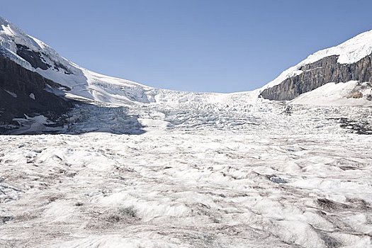 冰河,哥伦比亚,冰原,艾伯塔省,加拿大