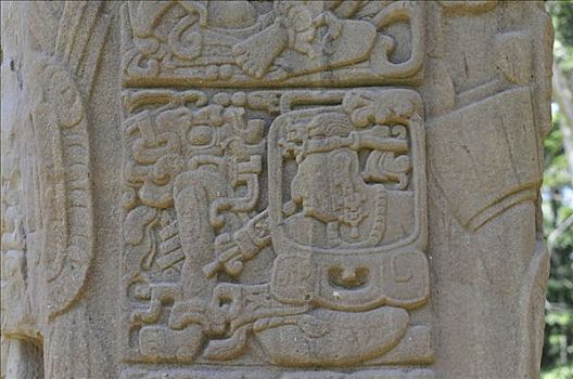 特写,石碑,纪念建筑,仪式,古老,玛雅,场所,危地马拉,中美洲